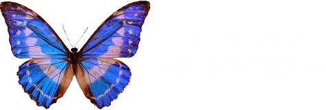 Morpho Orthodontics